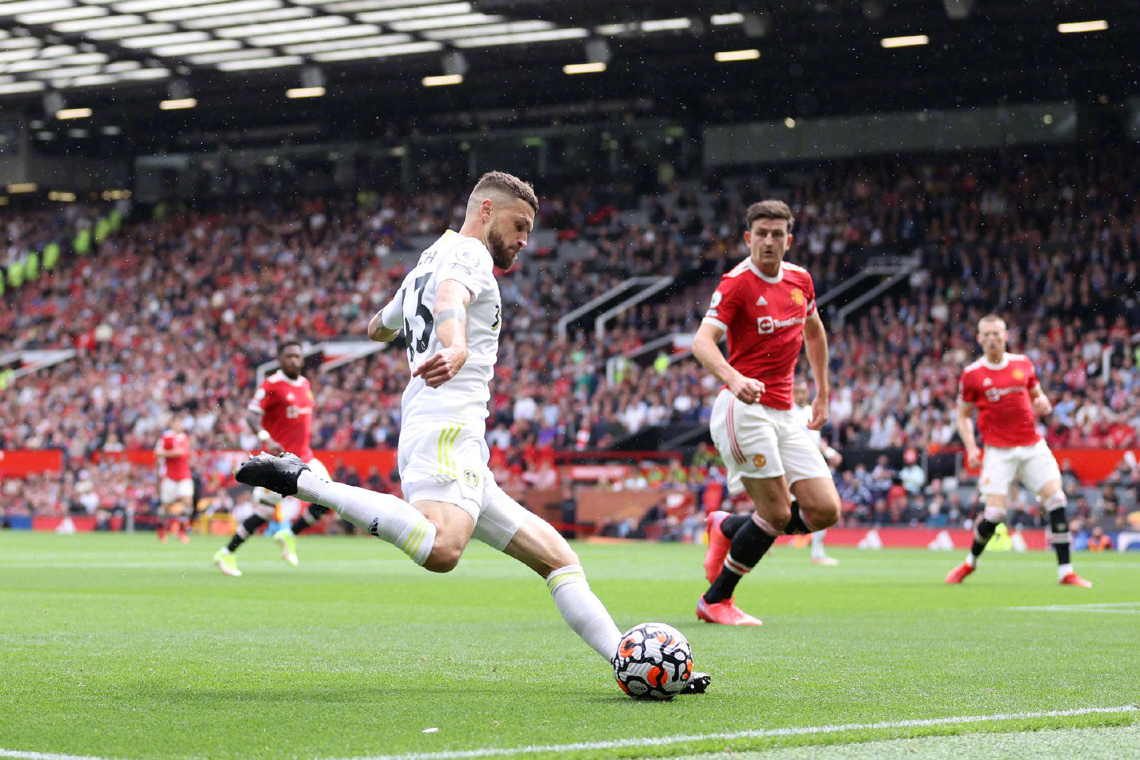 画中几乎会 画中几乎会